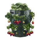 3L Multi-Mouth Vertical Vege/Flower Planter