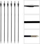 80cm Fiberglass Arrows - 6 Pack