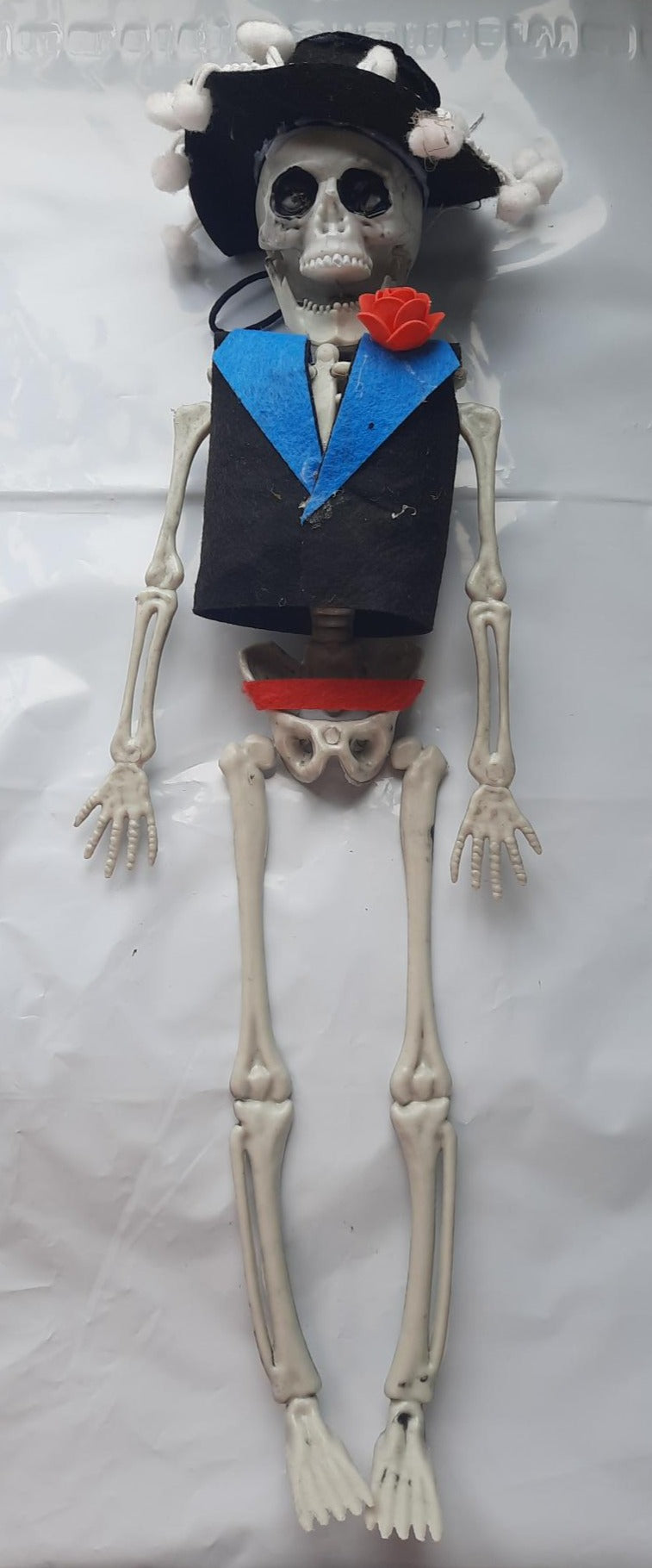 Clothed Skeleton 40cm