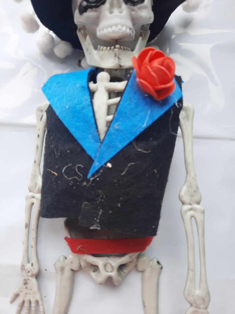 Clothed Skeleton 40cm