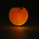 1 Pc LED Glowing Poi - Light Up Handball Sports Belly Dance Hand Novelties Toys - Nifti NZ