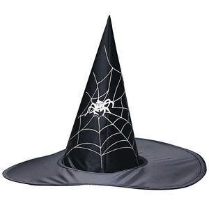 Spider And Web Witches Hat