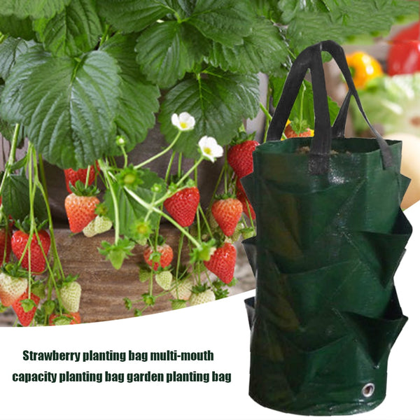 3L Multi-mouth Vertical Vege/Flower Planter - Home garden Potato greenhouse seedling pot (Green) - Nifti NZ