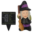 Weather Forecasting Witch