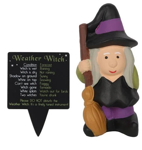 Weather Forecasting Witch