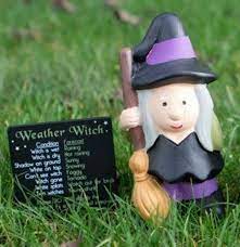 Weather Forecasting Witch