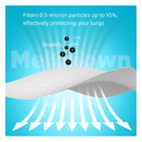 Face Masks KN95 - 10 Pack