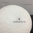 Moon Night Light Lamp - *IMPERFECT ITEM*
